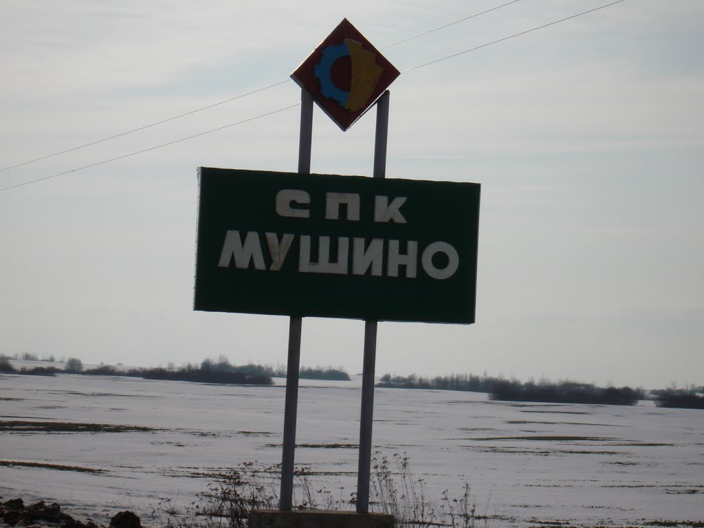 Khodosy
