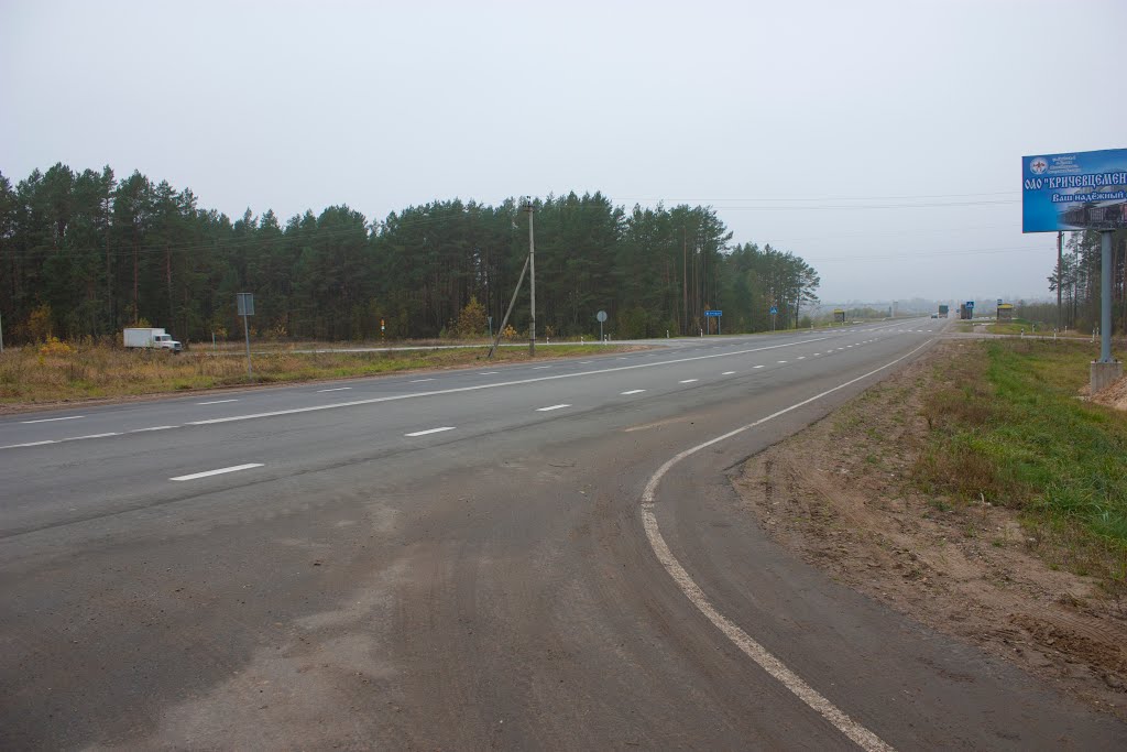 Дорога к мосту через Сож