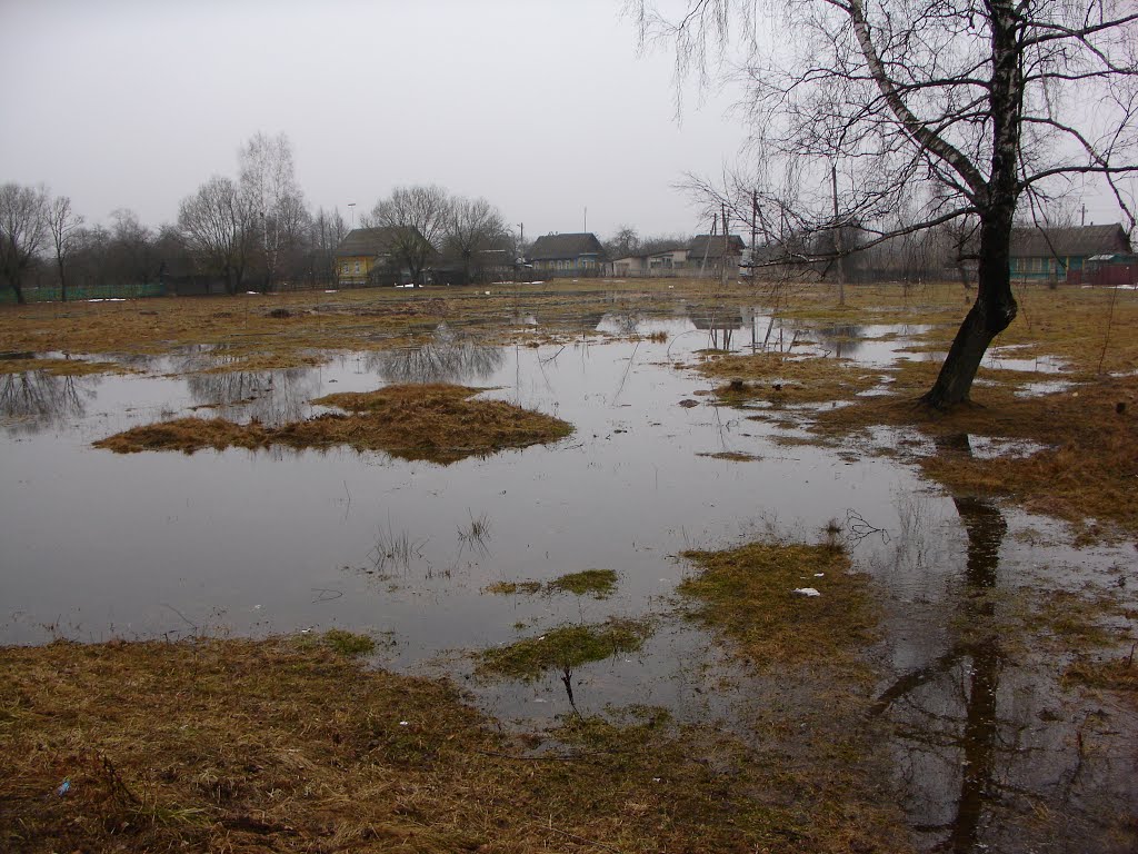 Klimovichi