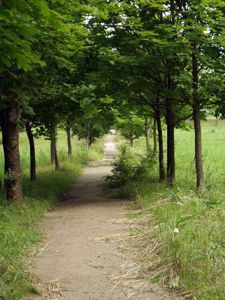 A path to the protestant church