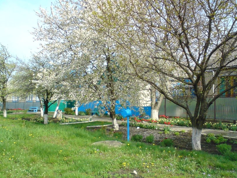 ВЕСНА 2008