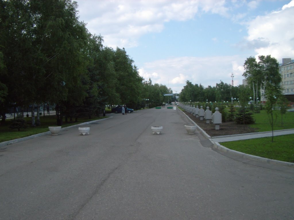 центральная аллея