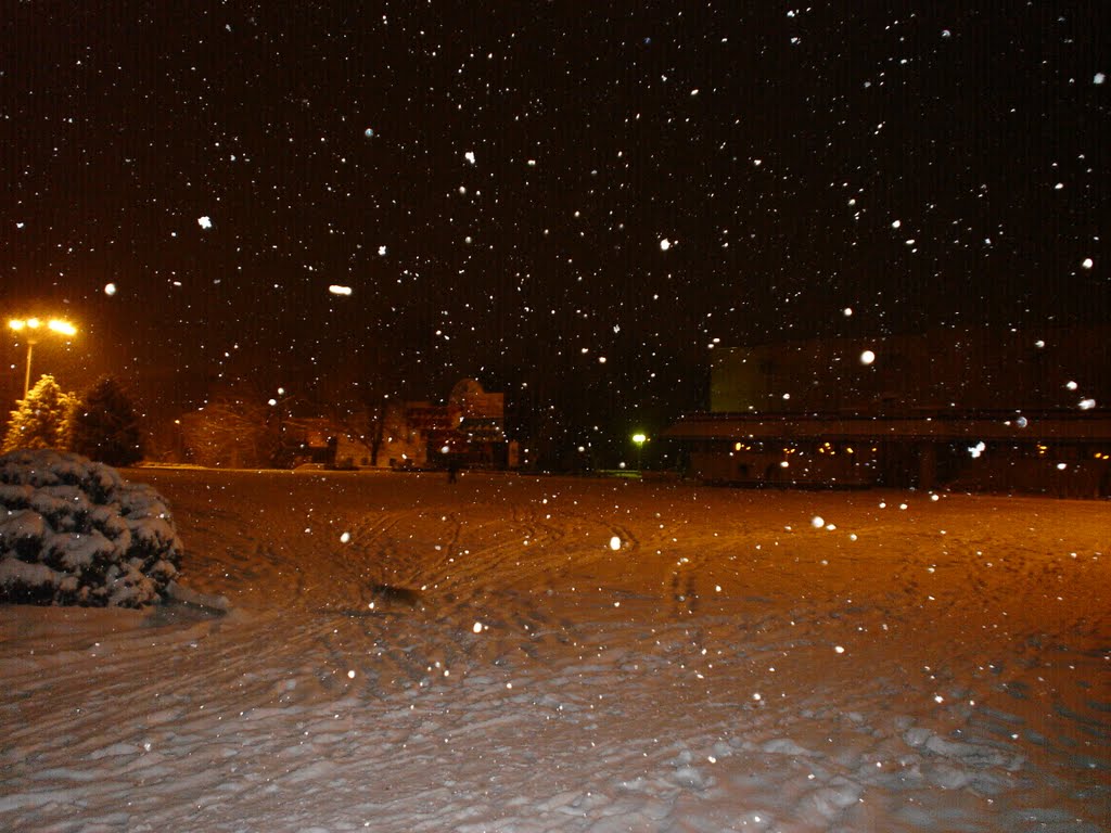18.01.2011г.