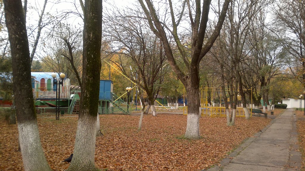 Осень в городском парке, 2013