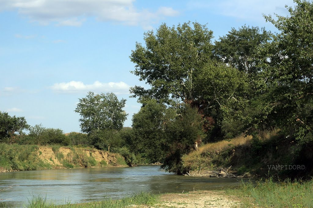 берега Кумы 2008