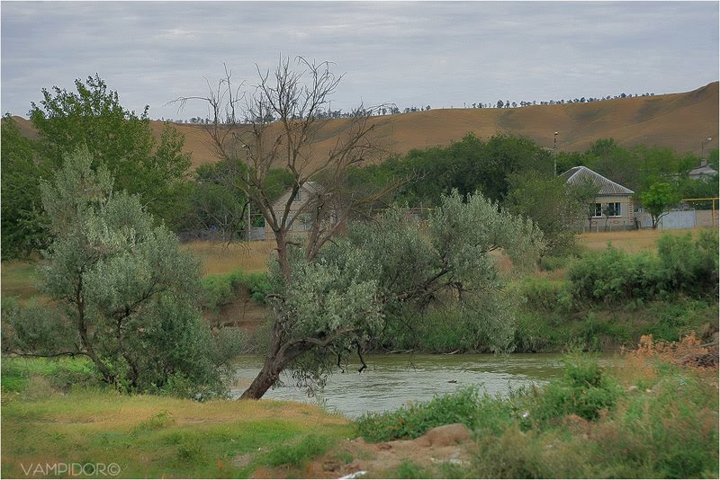 берега Кумы