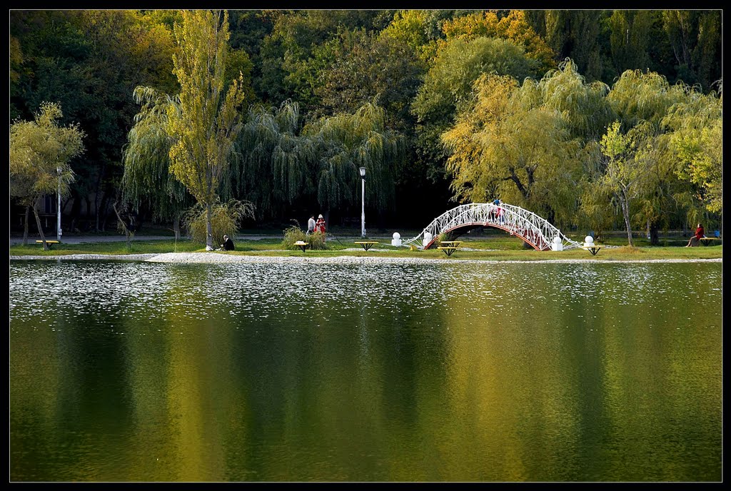 Железноводск. Остров