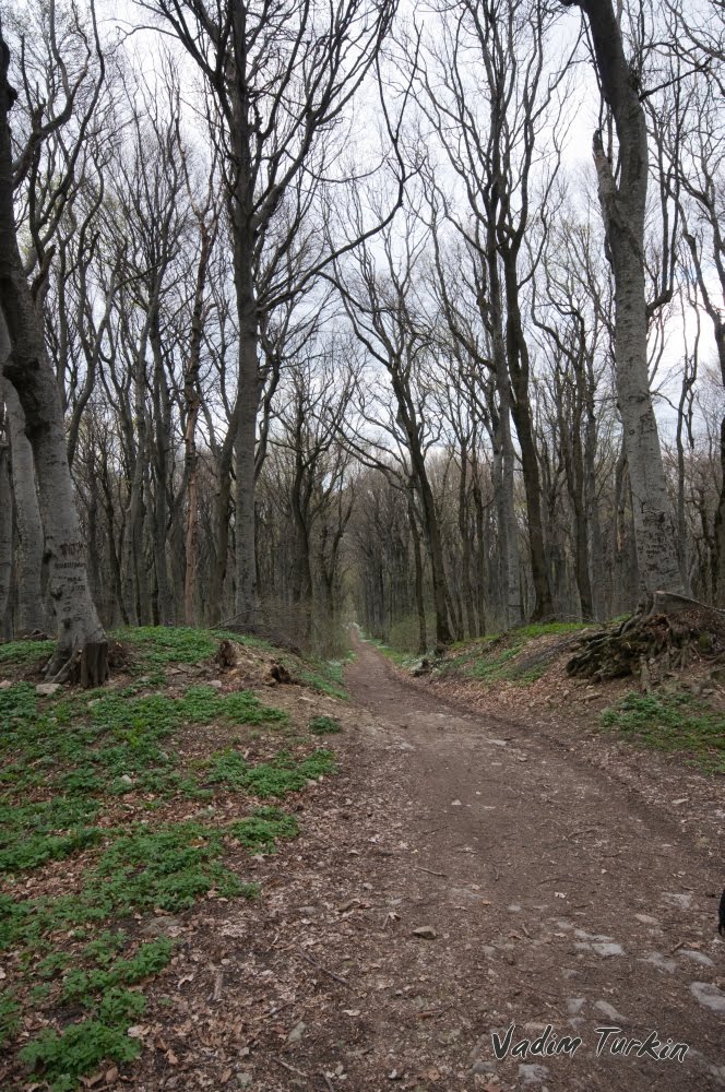 дорога на Железноводск