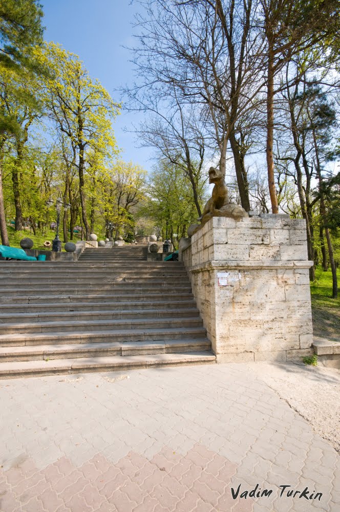 барсы на входе в парк
