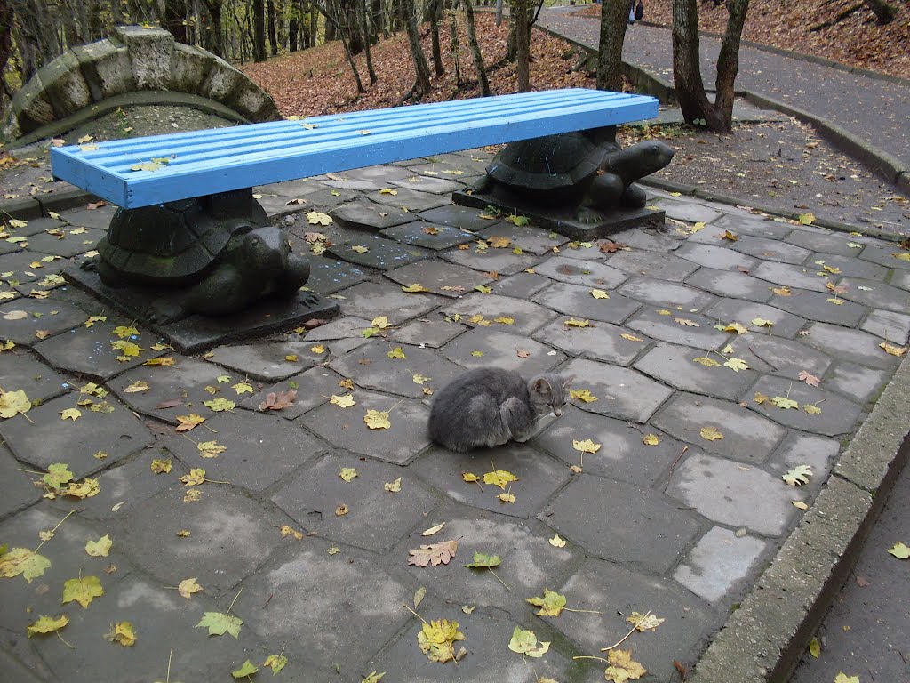 Скамья в парке. Bench in park.