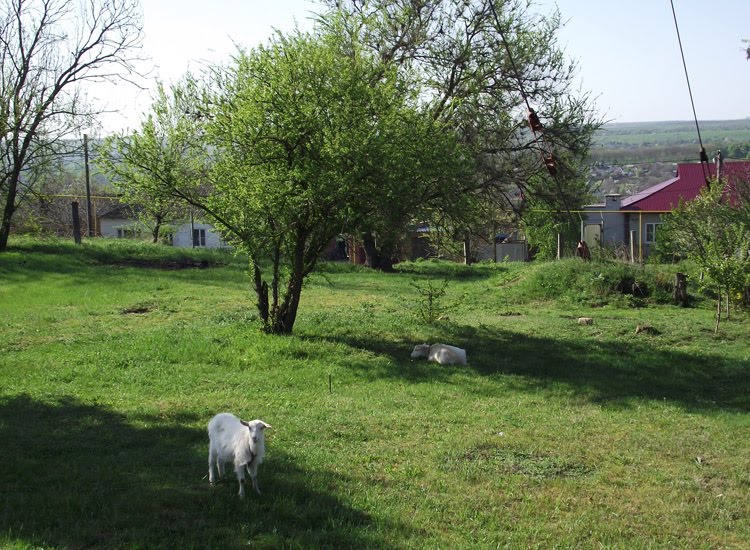 Kruglolesskoye