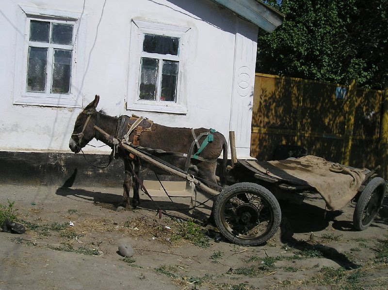 Как 100 лет назад.