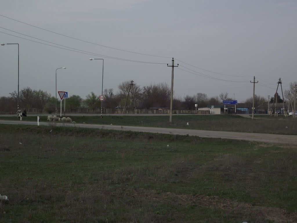 с.Стародубское, трасса