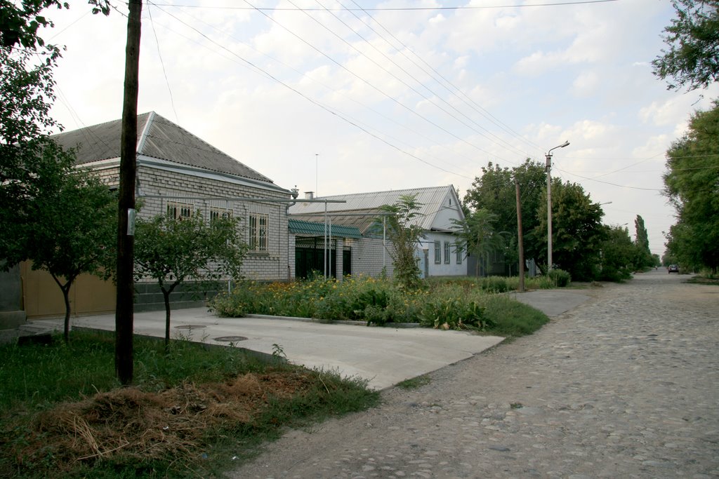 Улица Революционная