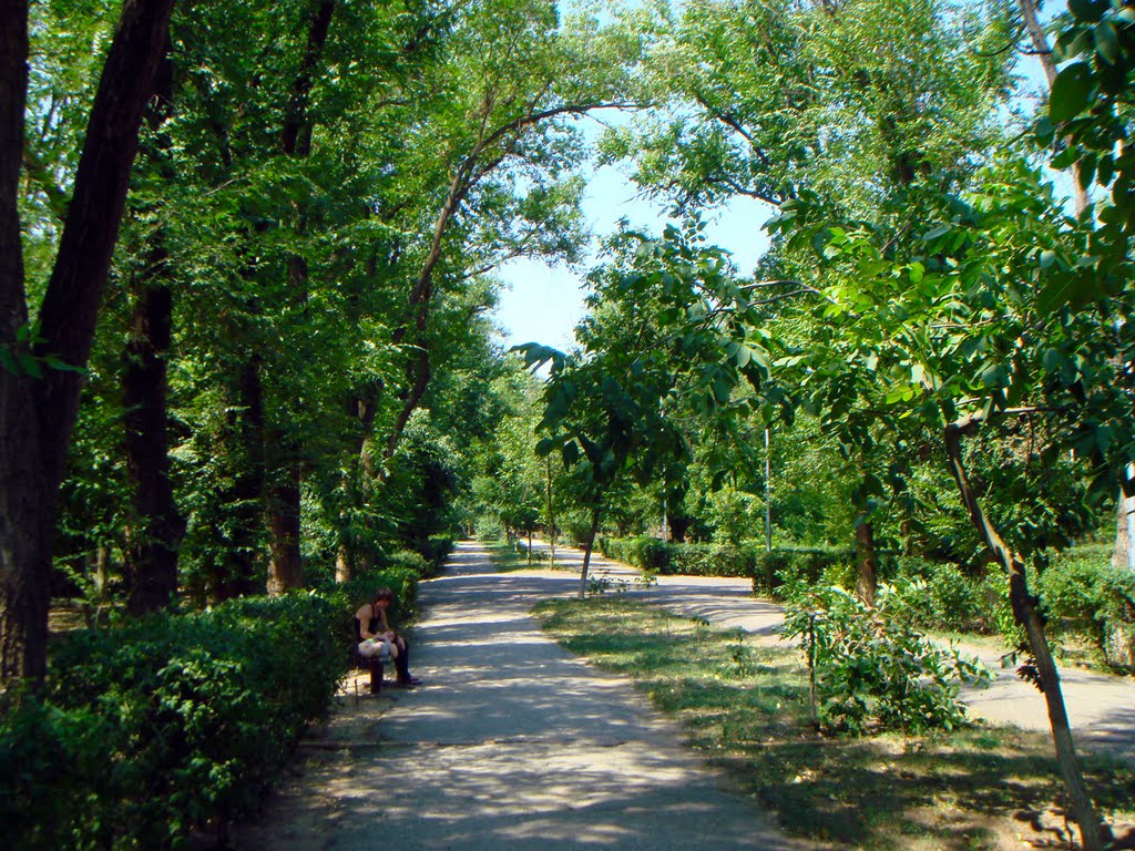 алея парка