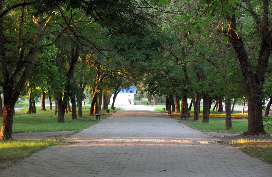 Lermontova str.
