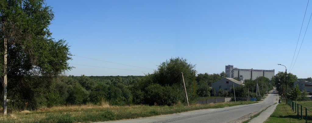 Мелькомбинат. Ул. Мельничная