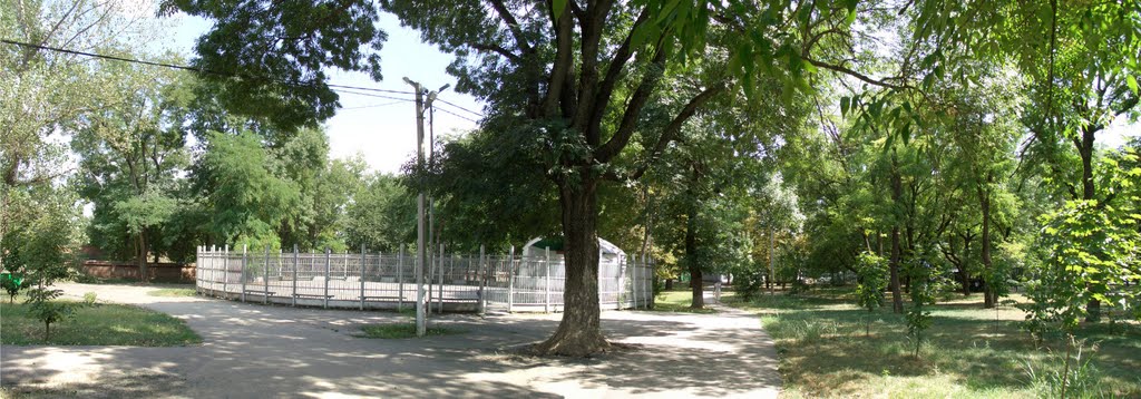 Парк_лето_старая эстрада_2011