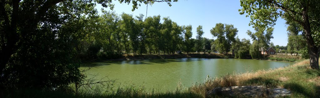 Пруд_2011
