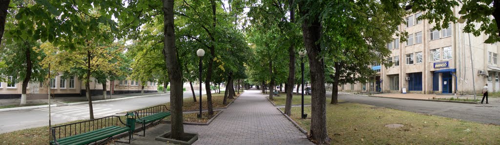 Бульвар на Октябрьской. Музшкола. Дом быта_2011