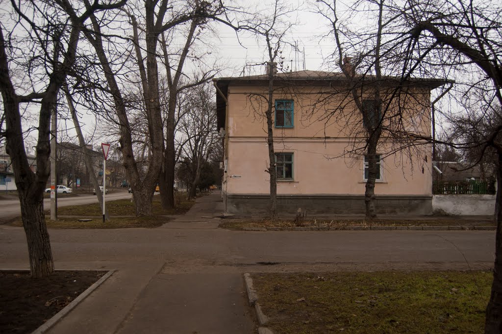 Перекрёсток улиц Моисеенко и Пушкина