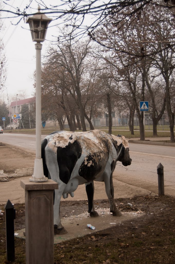 Коровка на улице Гагарина