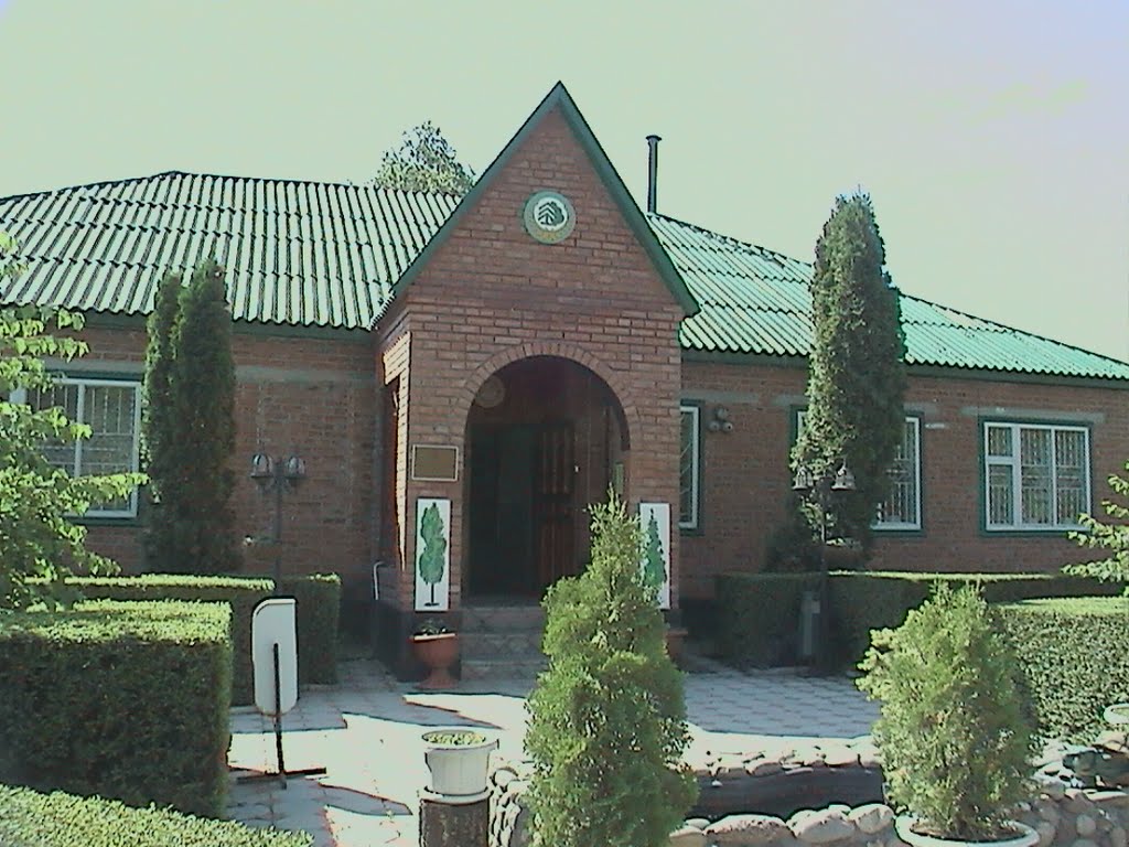 Здание лесхоза, с.Дивное 07-06-2011