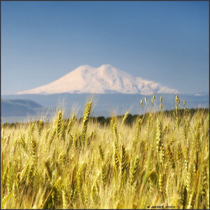 Вид на Эльбрус - View at Elbrus mountain