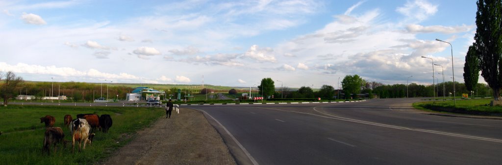 Donskoye