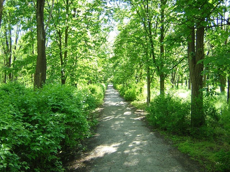 Аллея