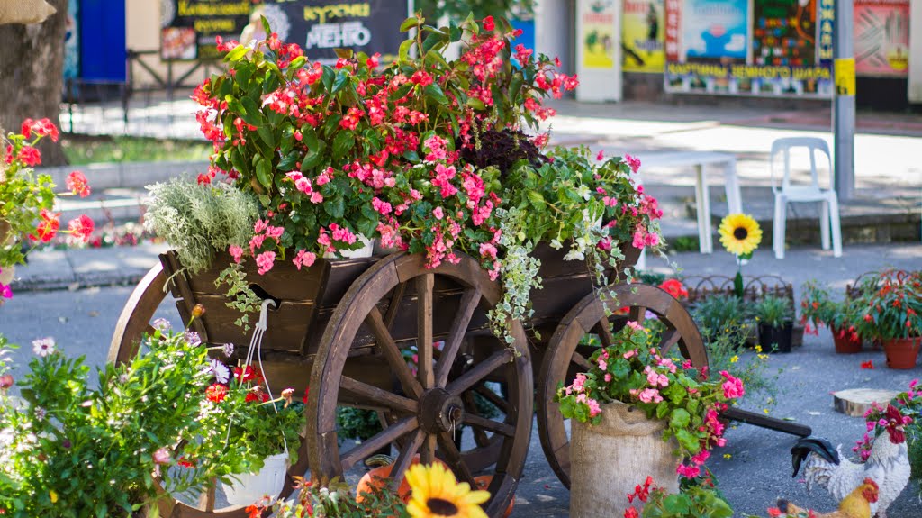 Flowers day