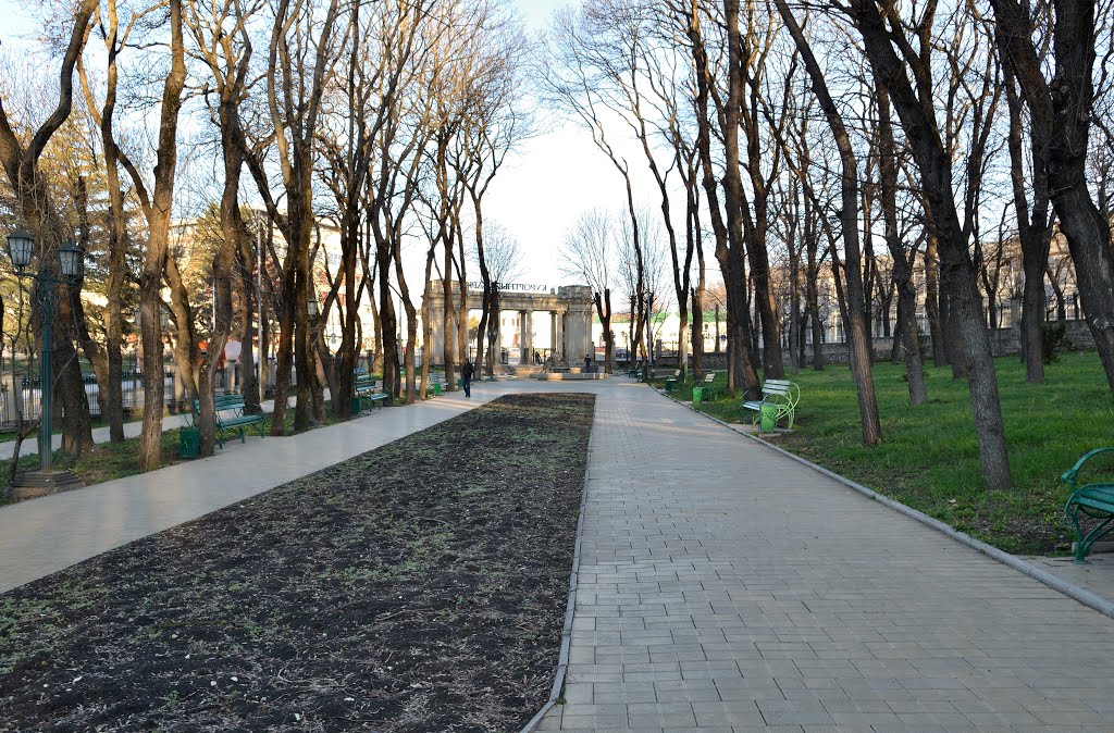 Лечебный парк / The treatment resort park
