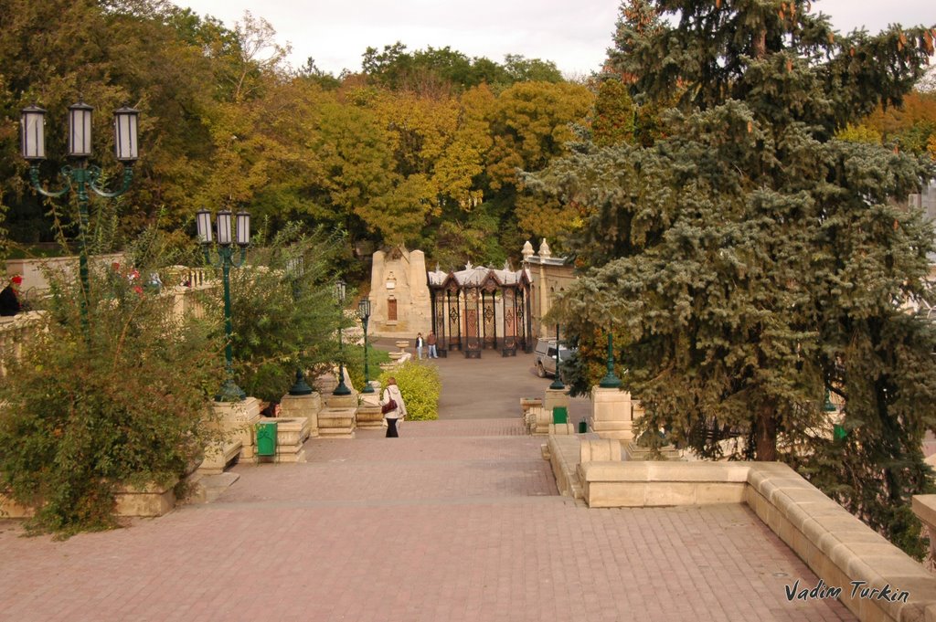 в парке