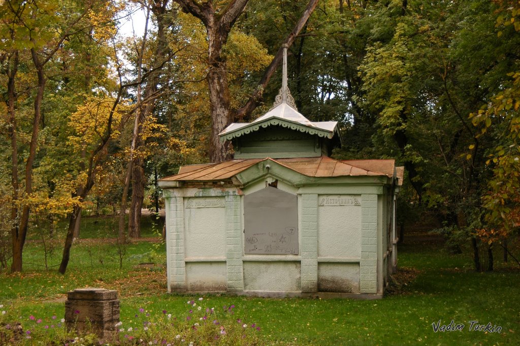 в парке