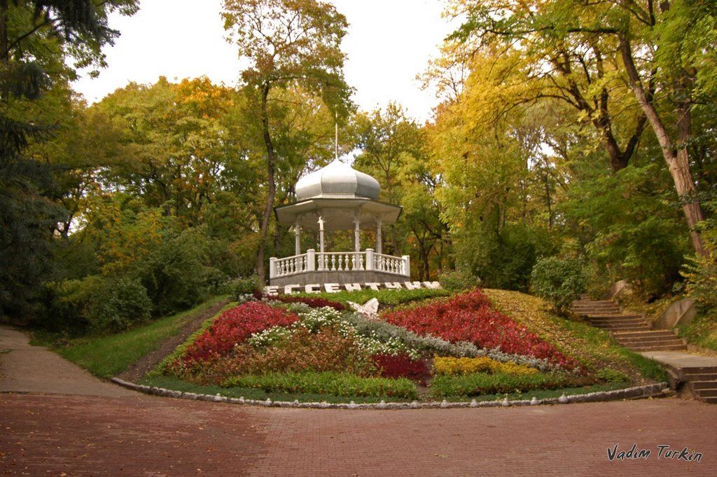 в парке