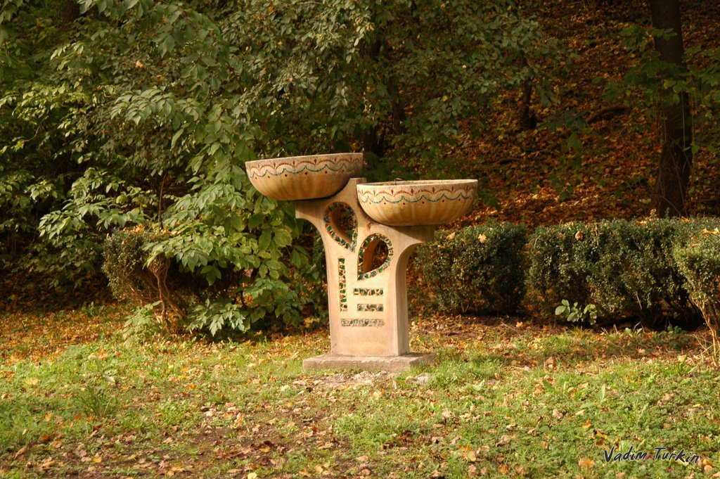 в парке