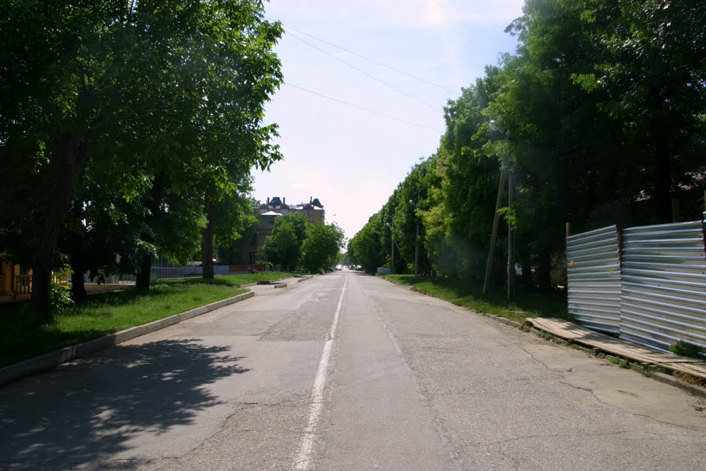 Ессентуки. Зеленая улица.