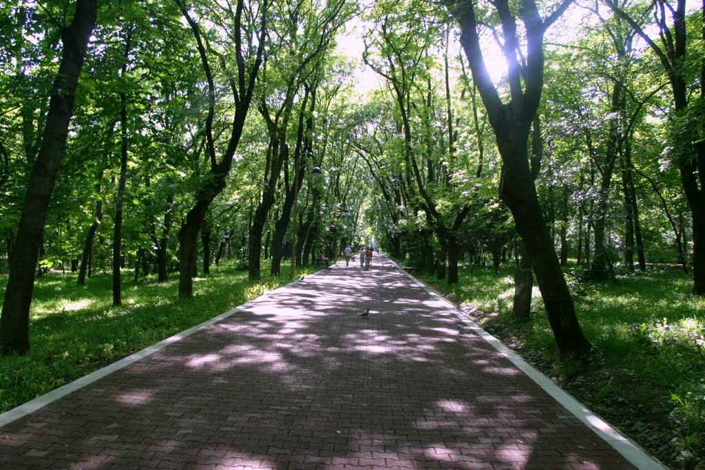 Ессентуки. Дорожка в Курортном Парке.