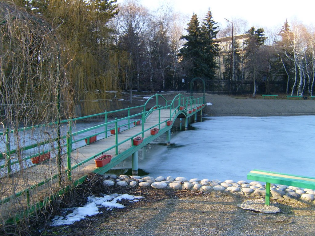 Иноземцево. Вид с островка - 27/02/2008г.