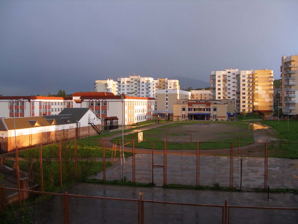 После дождя