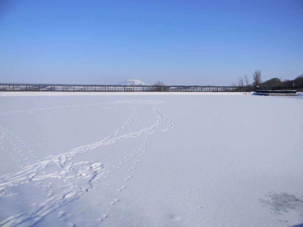 Замерзший пруд