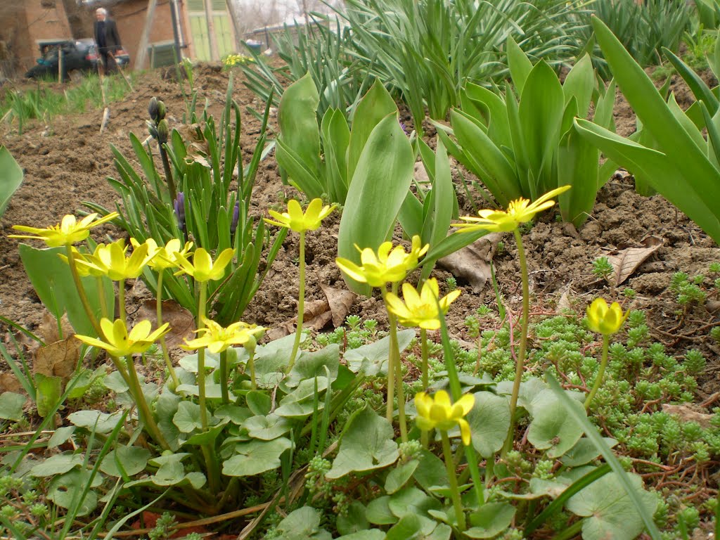 ИПАТОВО весна 2012