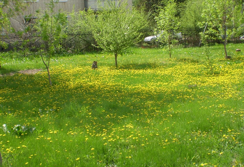ИПАТОВО весна 2012