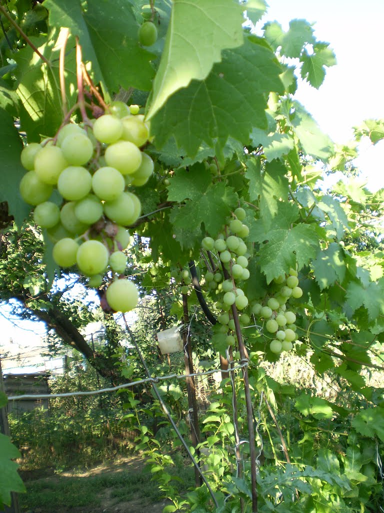 ИПАТОВО лето 2012