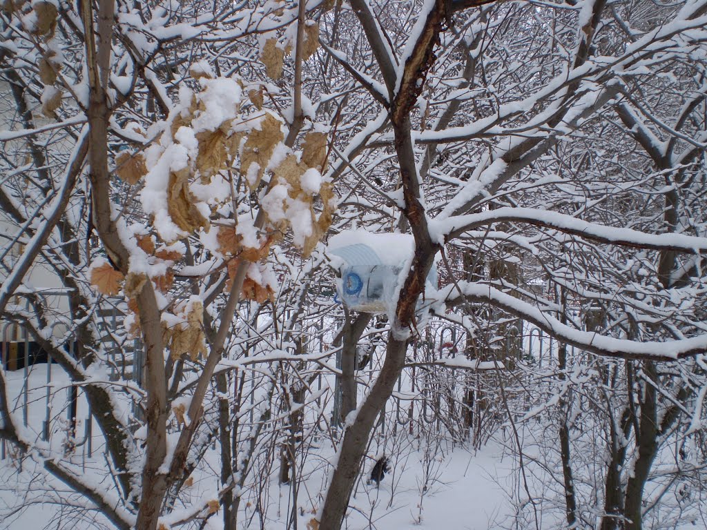 ИПАТОВО зима-2013