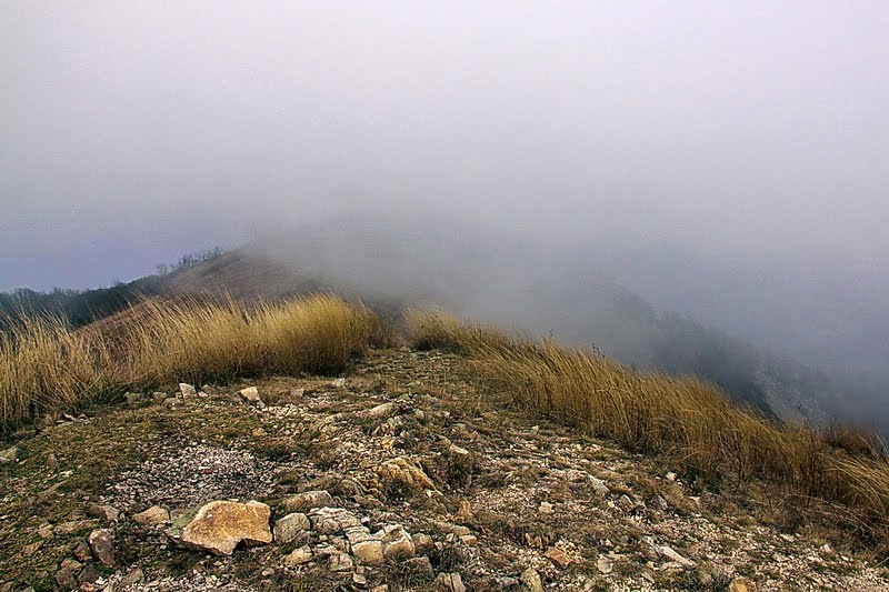 В облаках. In the clouds.