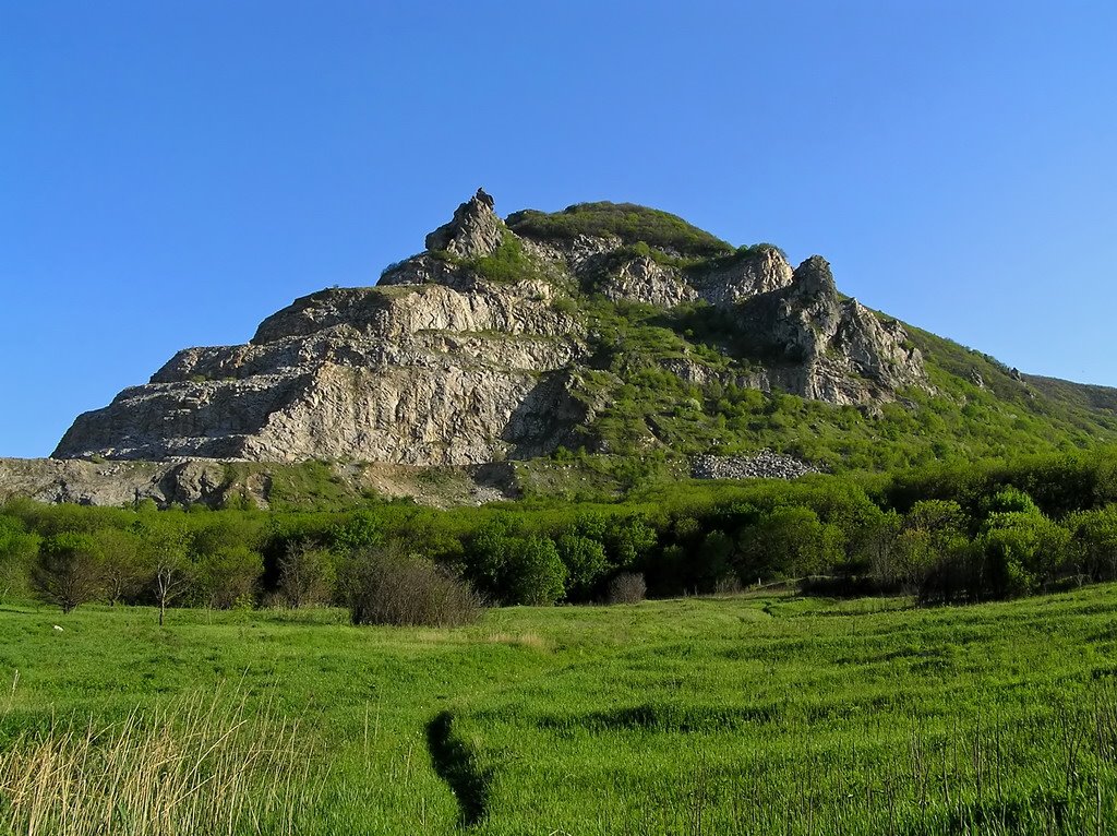 ЗМЕИНАЯ ВЕСНОЙ