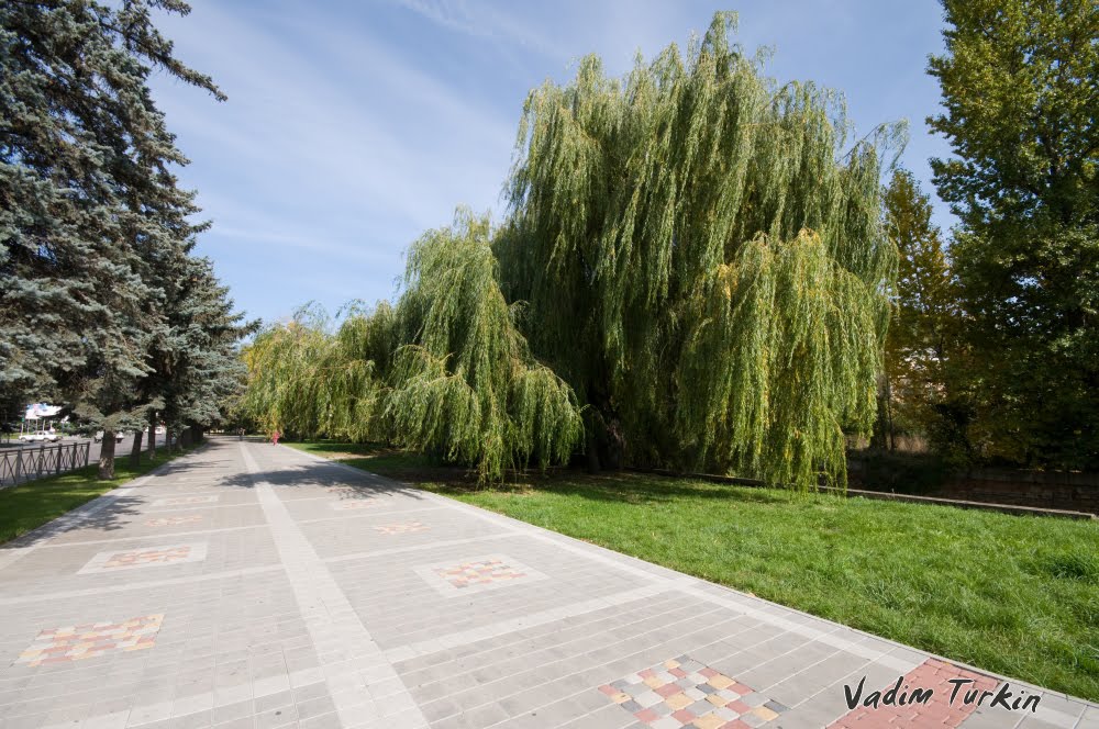 по центральной улице