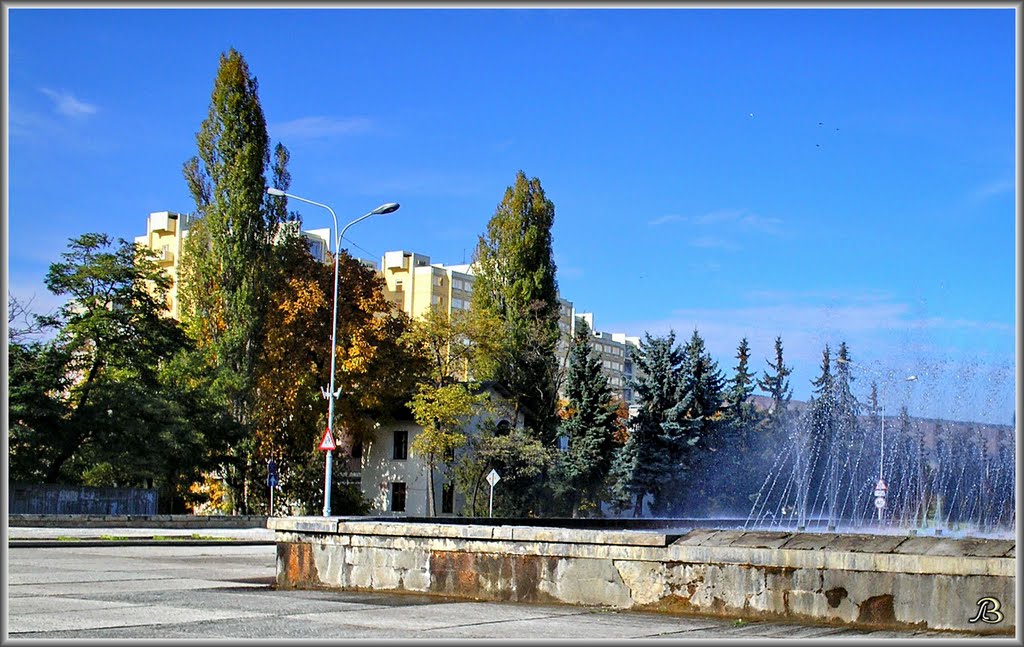 Victory Avenue + Fountain  / Проспект Победы + фонтан