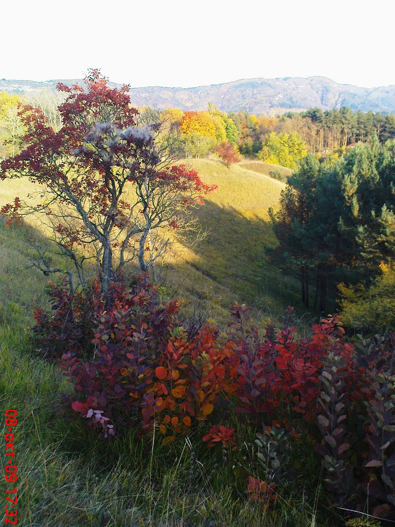 Краски осени